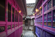 Unique Things to Do in Tokyo