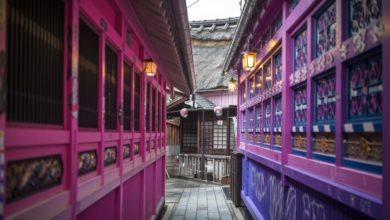 Unique Things to Do in Tokyo
