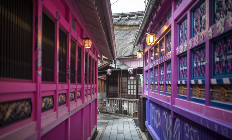 Unique Things to Do in Tokyo