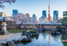 Tokyo Weather Forecast 30 Days