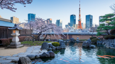 Tokyo Weather Forecast 30 Days