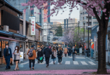 Osaka Itinerary
