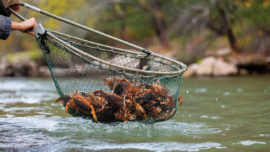 Crab Net