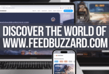 www. feedbuzzard com