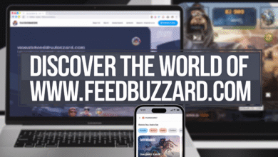www. feedbuzzard com